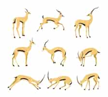 Vetor grátis antílope em conjunto de ilustração de desenhos animados de poses diferentes. gazela de bócio africana ou impala com chifres longos correndo, pulando e batendo no fundo branco. animal, vida selvagem, conceito de safári