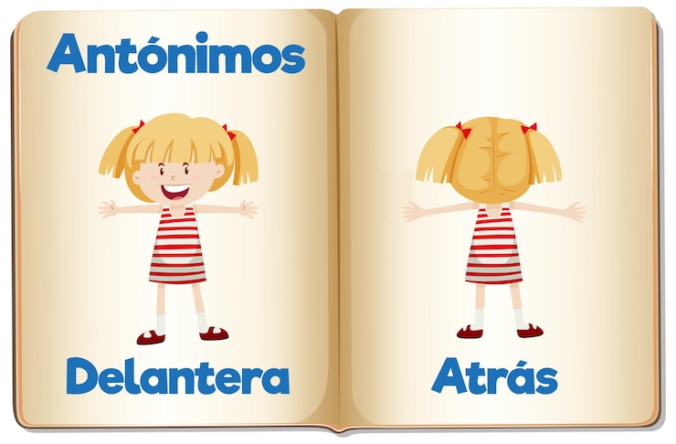Vetor grátis antônimo word card seca e humedo significa frente e verso