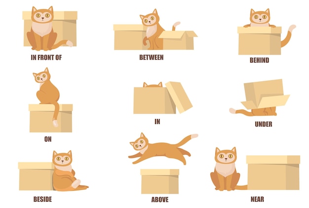 Vetor grátis aprendendo as preposições com a ajuda do conjunto de gato e caixa plana