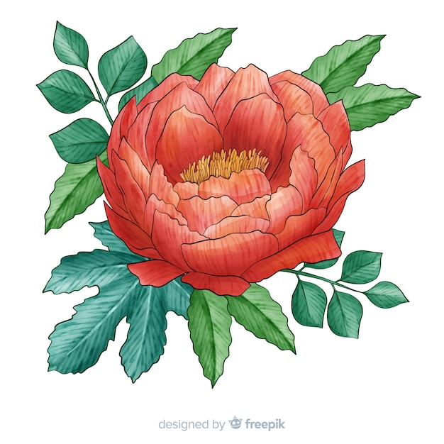 Vetor grátis aquarela flor coral com folhas