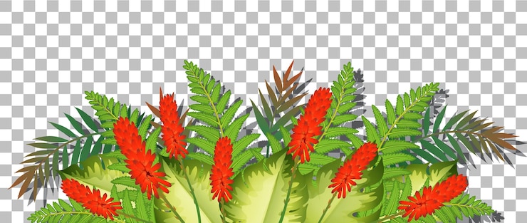 Vetor grátis arbusto de flores com folhas em fundo transparente