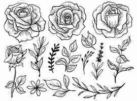 Vetor grátis arte em linha de flor rosa isolada com clipart de folhas