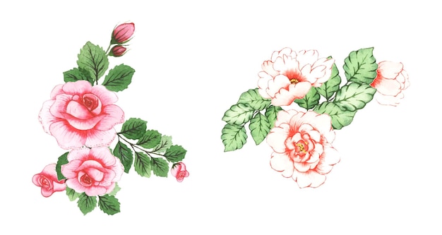 Arte floral em aquarela feita à mão