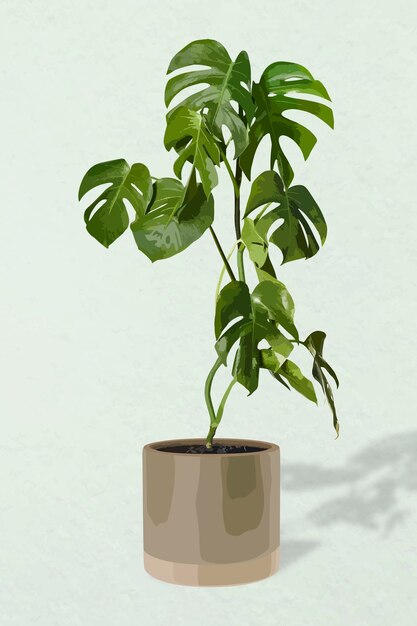 Arte vetorial de planta, ilustração Monstera