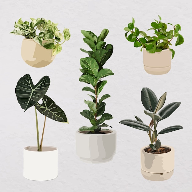 Arte vetorial de planta, planta de casa em vasos de flores