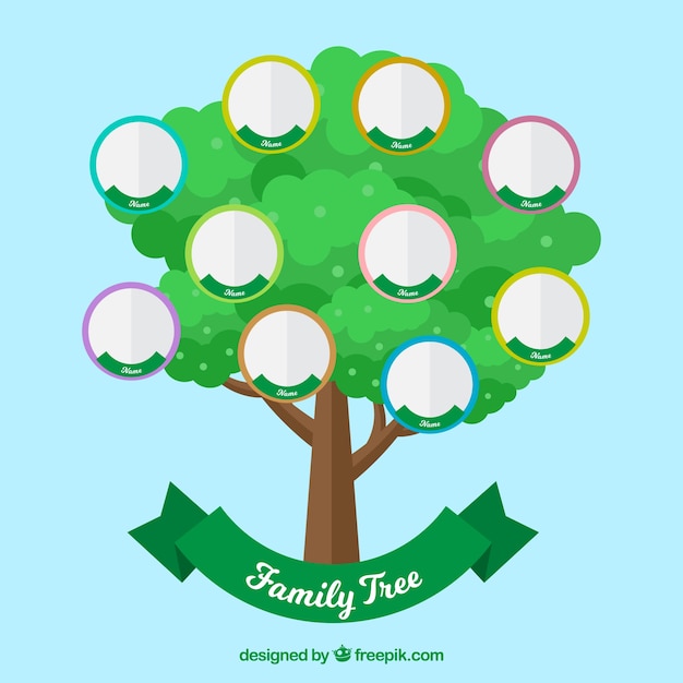 Árvore verde com círculos para membros da família