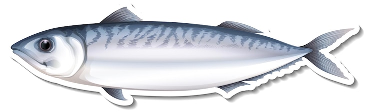 Vetor grátis autocolante de peixe-marinho de cavala