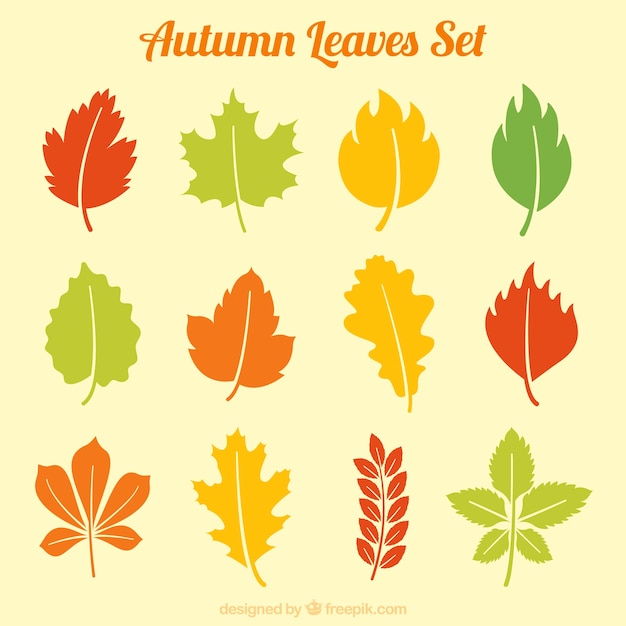 Autumn leaves set