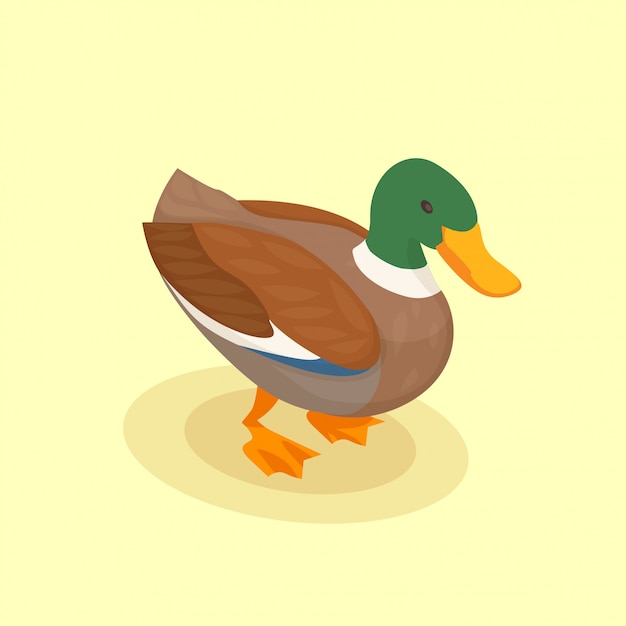 Aves de capoeira com ícone isométrico de pato colorido no estilo cartoon em amarelo
