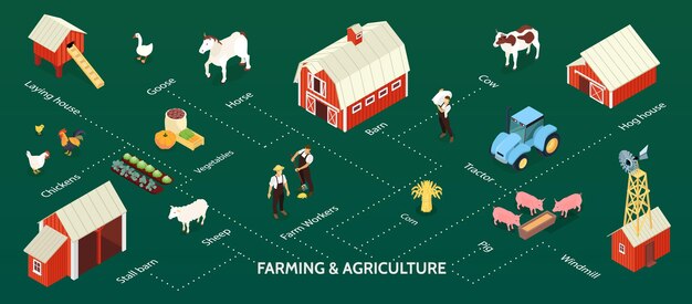 Bandeira de infográfico isométrica de agricultura de criação de gado com fazenda de moinho de vento celeiro agricultores milho vegetais ilustração de trator