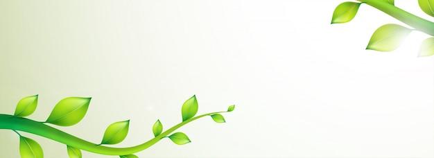 Vetor grátis banner abstrato com folhas verdes detalhadas.