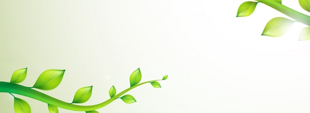 Banner abstrato com folhas verdes detalhadas.