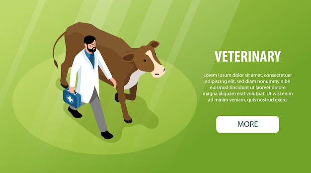 Banner da web isométrica horizontal veterinária