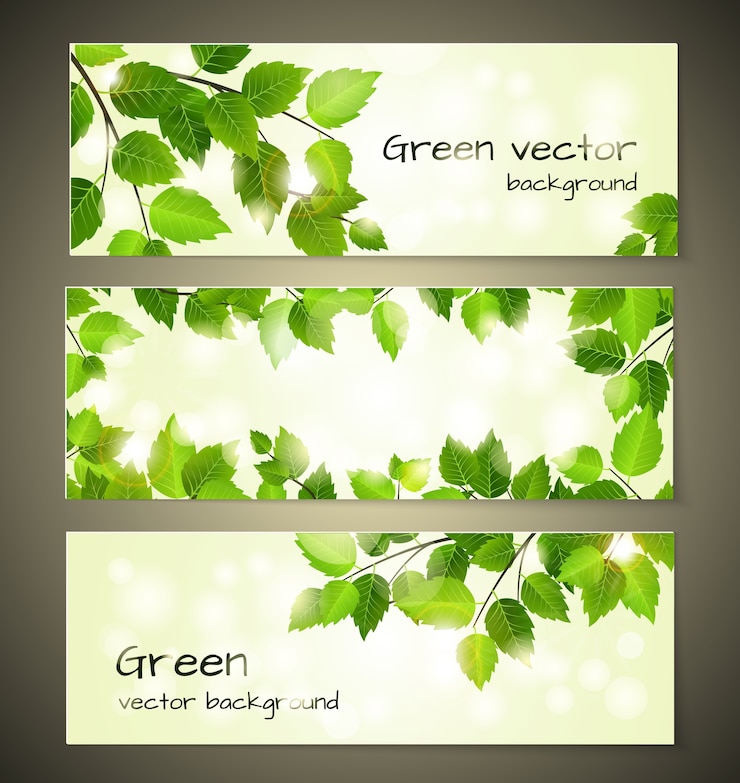 Vetor grátis banners de folhas verdes definir modelos de vetor