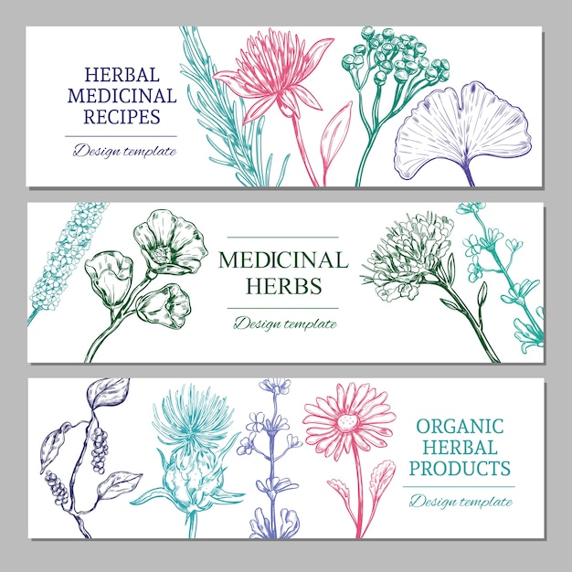 Vetor grátis banners horizontais de ervas medicinais com diferentes especiarias orgânicas saudáveis