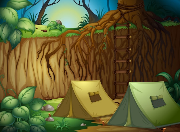 Barracas para acampar na floresta