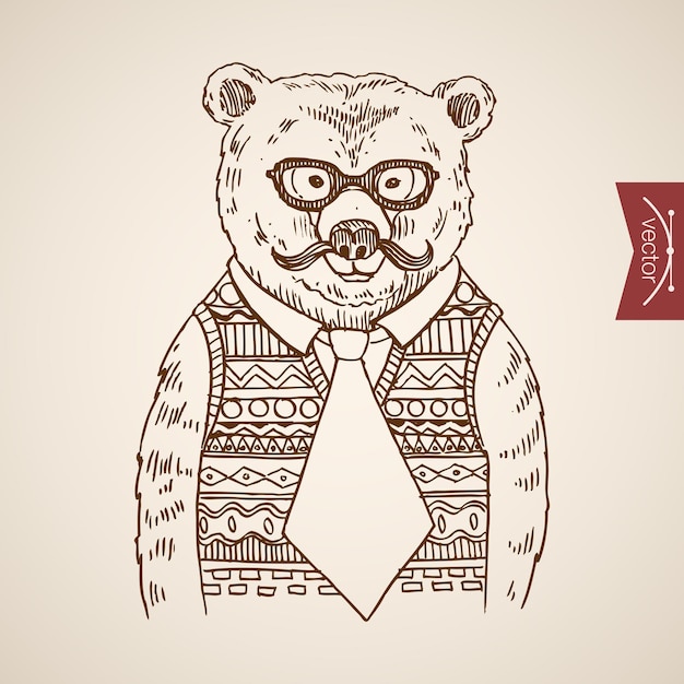 Bear empresários retrato hipster estilo humano roupas acessório usando pulôver óculos gravata.