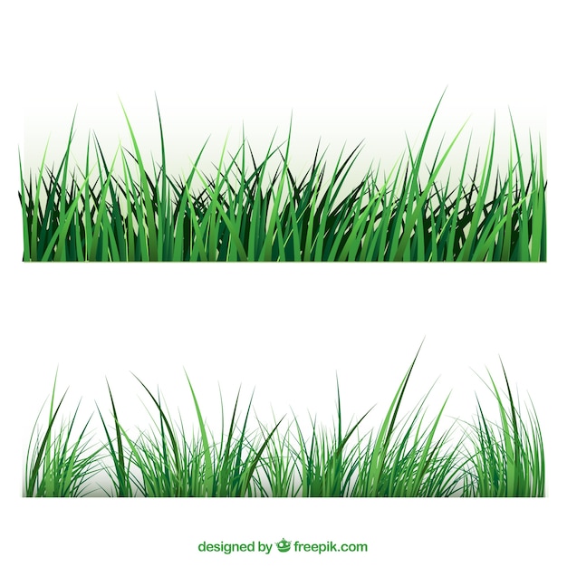 Beiras da grama