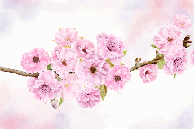 belo design de fundo de flor de cerejeira em aquarela