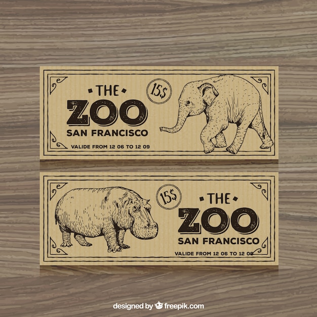 Bilhetes retro zoológico com mão desenhada elefante e hippotamus