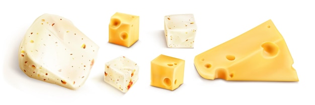 Vetor grátis blocos de queijo fresco com especiarias