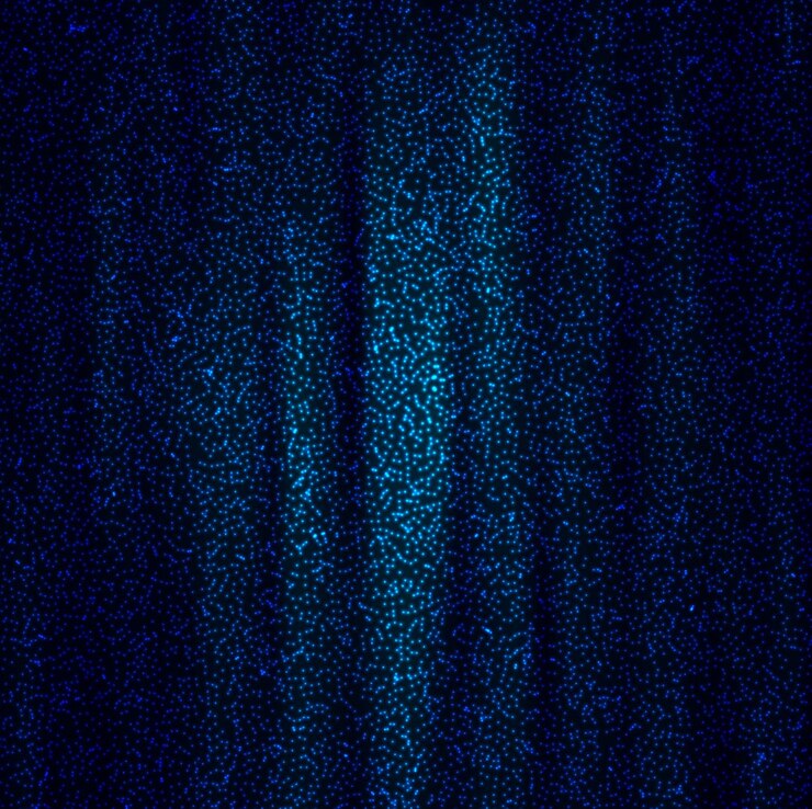 Vetor grátis blue glitters background