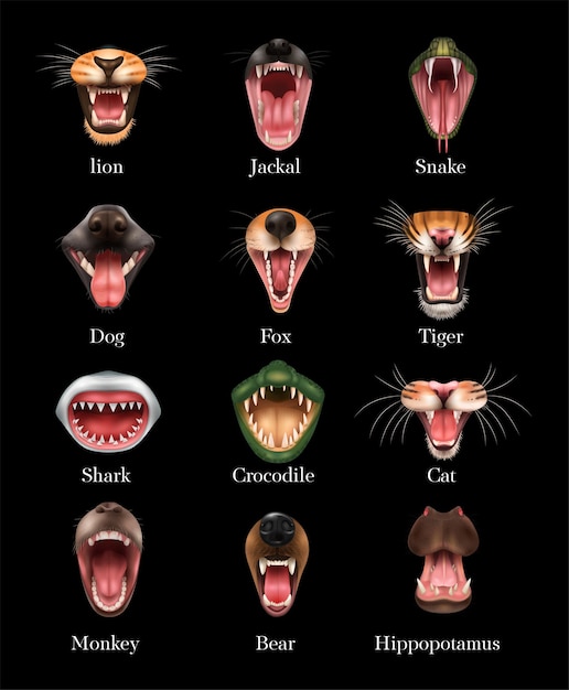 Vetor grátis boca de animal aberta com conjunto realista de cachorro-leão, tubarão, mosteiro, urso, raposa, tigre, gato, cobra e outros, isolados, em, pretas, fundo.
