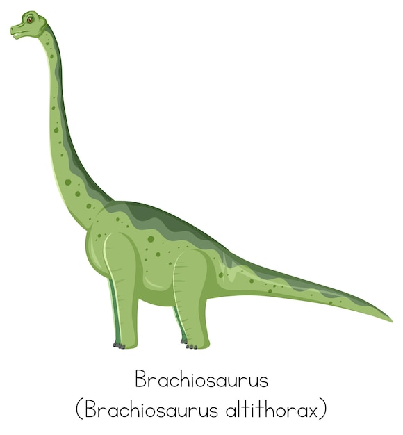 Vetor grátis brachiosaurus na cor verde