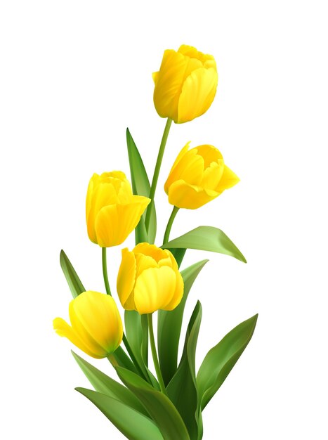 Buquê de tulipas primavera amarelas em branco.