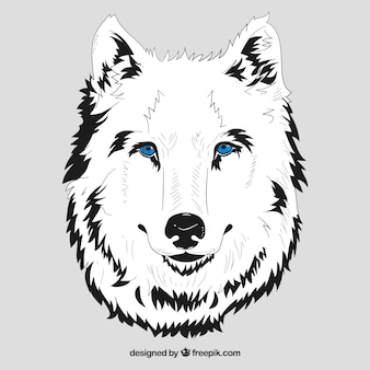 Cabeça branca de lobo com olhos azuis