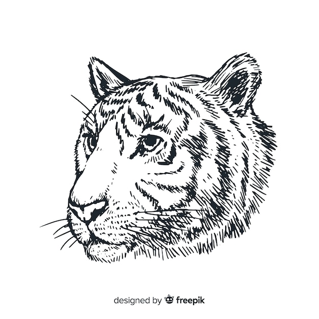 Cabeça de tigre