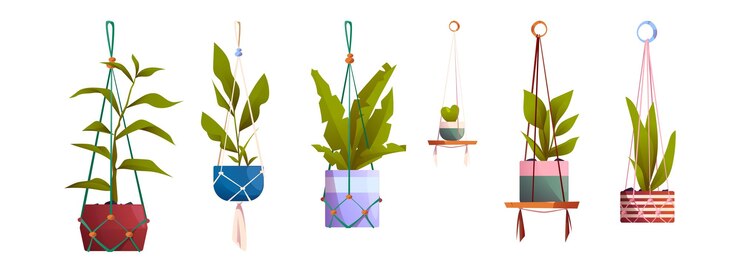 Vetor grátis cabides de macramê com plantas de casa em vasos