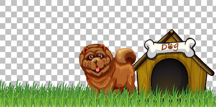 Vetor grátis cachorro-chow-chow com casinha de cachorro em fundo transparente