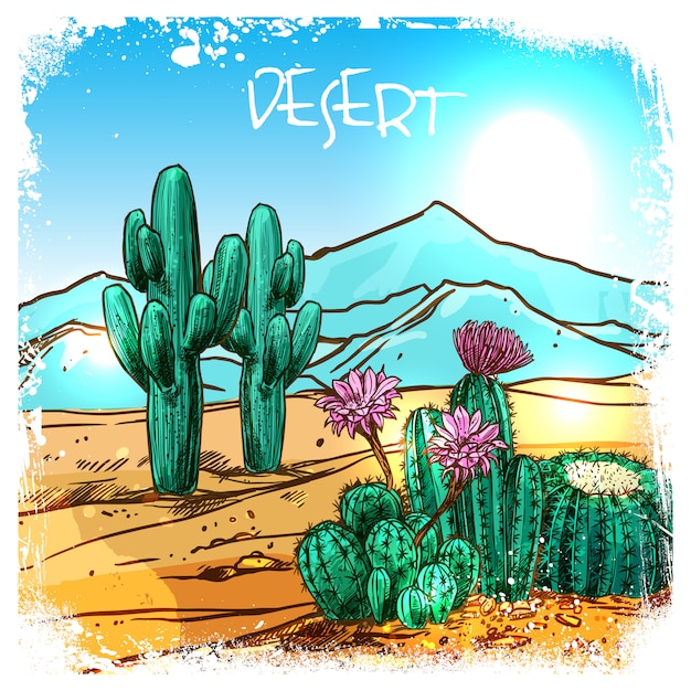 Vetor grátis cactus in desert sketch