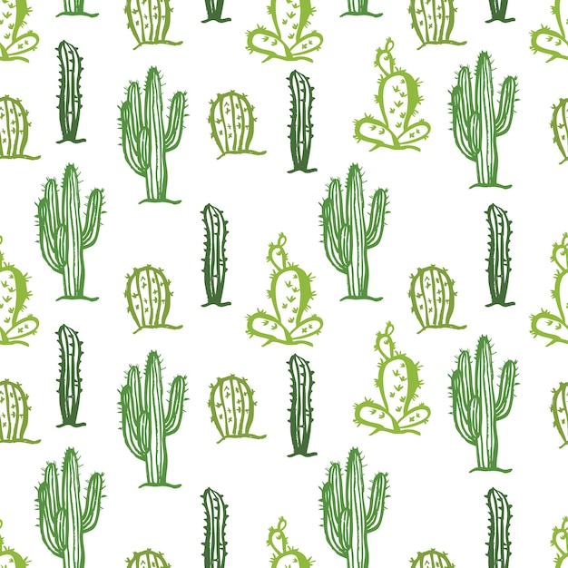 Cactus seamless color background