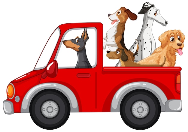 Cães dirigindo um carro no fundo branco