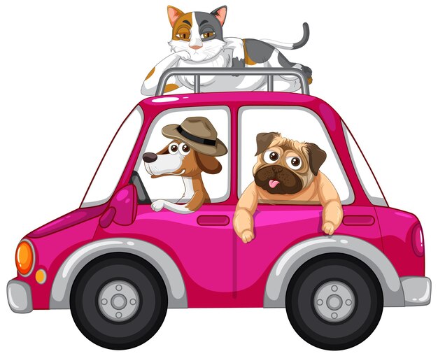 Cães e gatos andando de carro no fundo branco