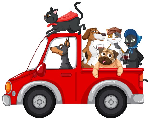 Cães e gatos dirigindo um carro no fundo branco