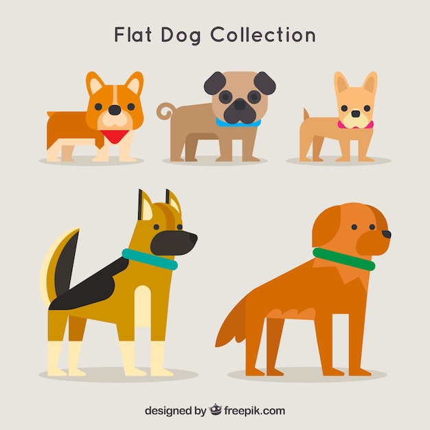 Vetor grátis cães lisos decorativos com diferentes raças