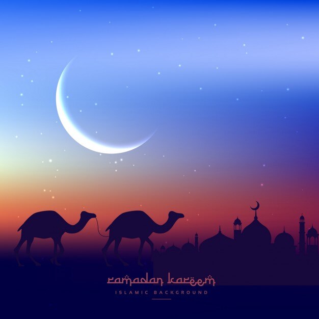 camelos que andam na noite com mesquita
