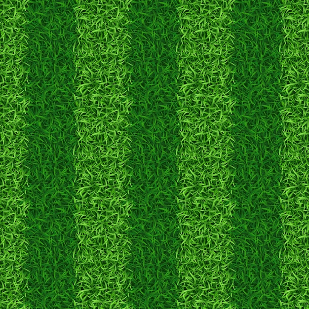 Campo de grama verde listrado sem costura
