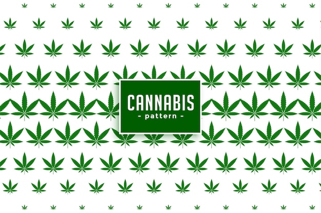 Cannabis maconha folhas de fundo
