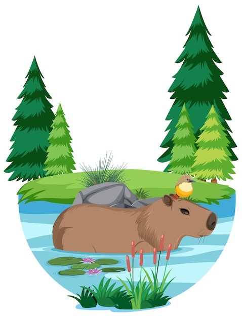 Desenho De Rosto De Capivara Bebê Vetor EPS [download] - Designi