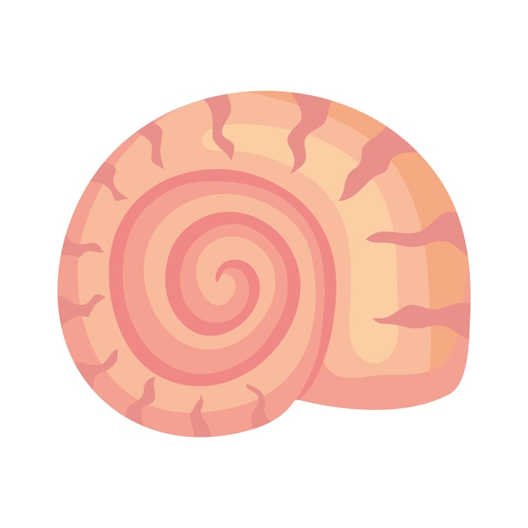 Vetor grátis caracol marinho