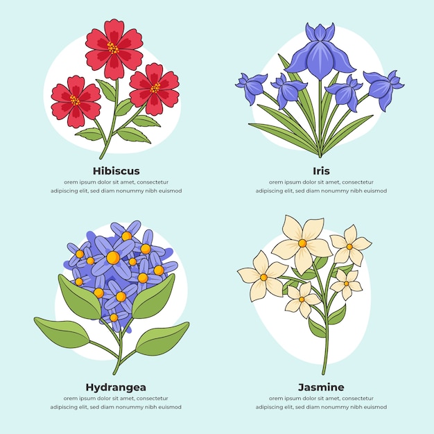 Carta de flores botânicas desenhadas à mão