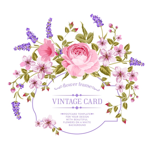 Vetor grátis cartão de quadro rosa e lavanda de florescência.