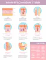 Vetor grátis cartaz de infográficos do sistema tegumentar humano ilustrando a anatomia do cabelo da pele glândulas sebáceas glândulas sudoríparas apócrinas ilustração vetorial plana