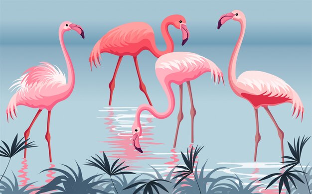 Cartaz flamingo.