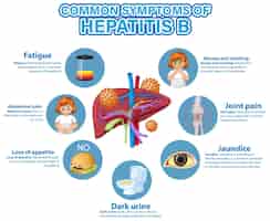 Vetor grátis cartaz informativo de sintomas comuns da hepatite b