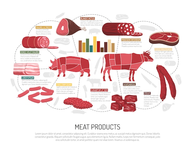 Cartaz liso de infographic dos produtos do mercado de carne